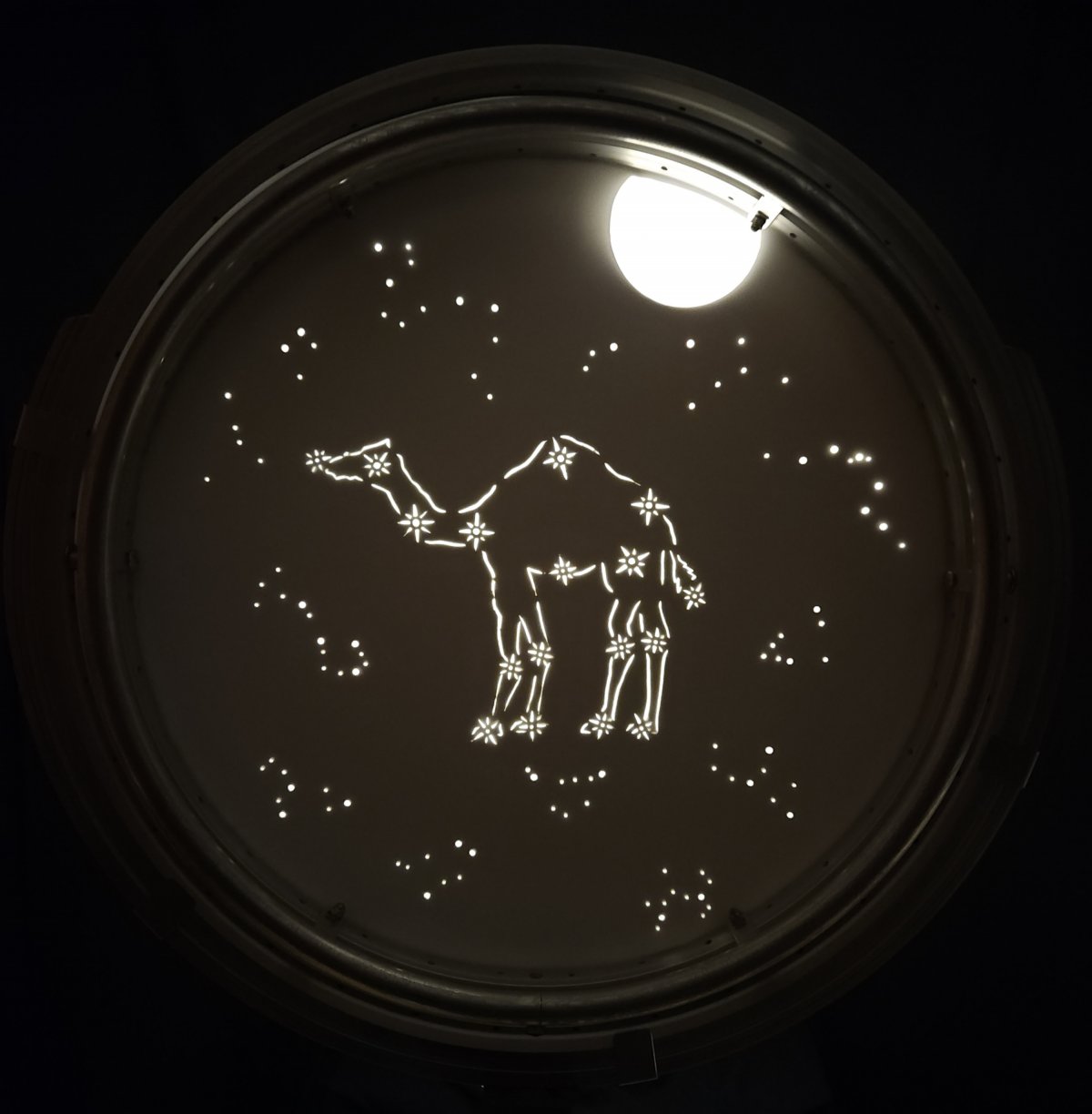 Illustrated screen from Camel Rock - the show - Copyright Reg Payn 2026